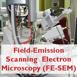 Field-Emission Scanning Electron Microscopy (FE-SEM)