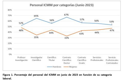 Personal ICMM por categoría