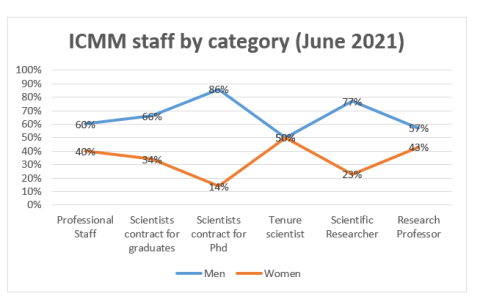 ICMM Staff by category (June 2021)