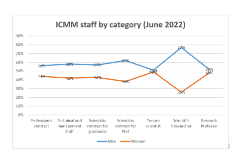 ICMM Staff by category