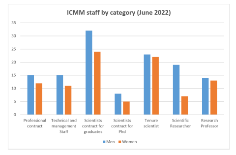 ICMM staff by category