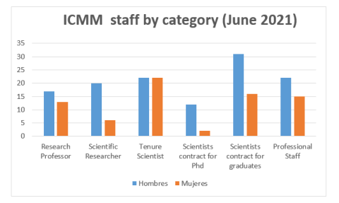 ICMM staff by category