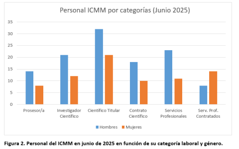 Figura 2. Personal del ICMM en junio de 2025 en función de su categoría laboral y género.