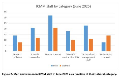 Figure 2. Men and women in ICMM staff in June 2025 as a function of their Laboral category.