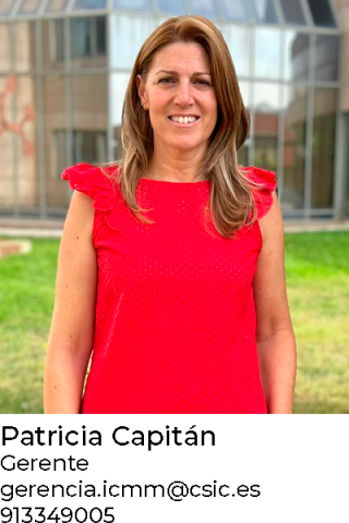 Patricia Capitán, Gerente