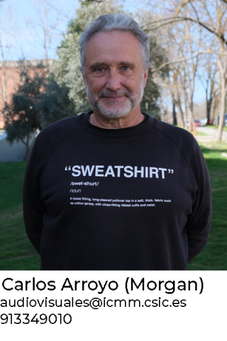 Carlos Arroyo Morgan