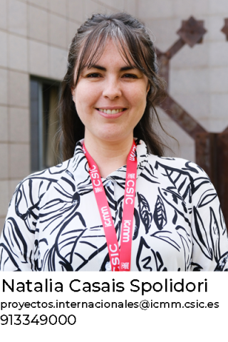 Natalia Casais, Proyectos Internacionales