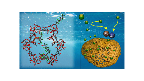 . Overall, mechanistic insights gained from this study highlight the critical role of designing specific chemical environments within MOFs to maximize pollutant-sorbent interactions.