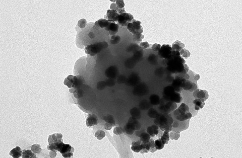 Imagen de microscopio donde se observa un nanoPET con nanopartículas magnéticas. / ICMM-CSIC