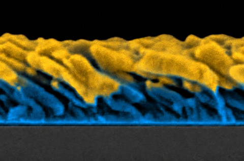 Imagen de microscopía electrónica de barrido con contraste composicional (debido a los electrones retrodispersados) donde se colorea en amarillo el oro y en azul el hierro.