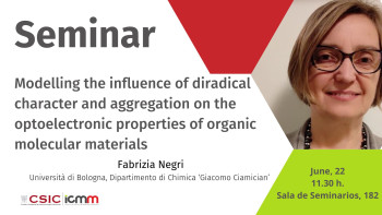Researcher Fabrizia Negri visits the ICMM as part of the Internationalization program