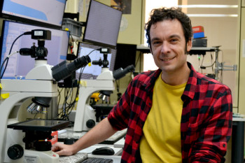 Andrés Castellanos, en su despacho