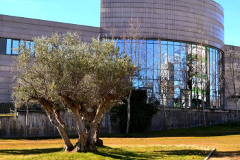 Almost a quarter of ICMM permanent researchers are among top cited authors, according to a recently published ranking