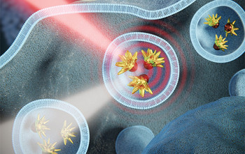 Logran monitorizar con rayos X la temperatura local de nanopartículas en células tumorales