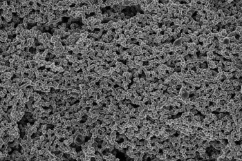 Nanopartículas de hierro preparadas con el nuevo método “verde”. Foto: Carlos Díaz-Ufano (doctorando ICMM-CSIC)