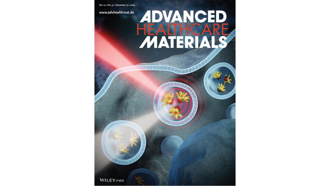 Advanced healthcare materials