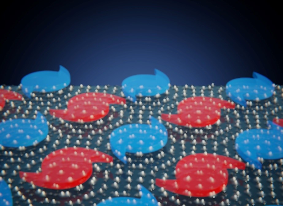 Vórtices ferroelectricos en un patron de moiree