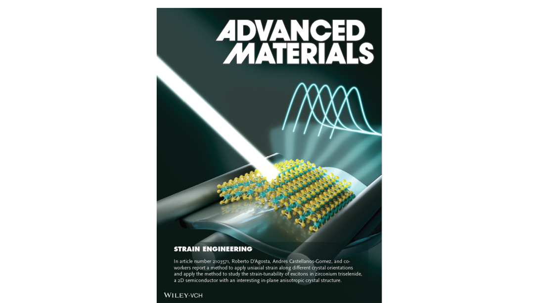 Strongly Anisotropic Strain-Tunability of Excitons in Exfoliated ZrSe3