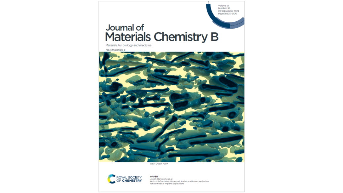 A zirconia/tantalum biocermet: in vitro and in vivo evaluation for biomedical implant applications