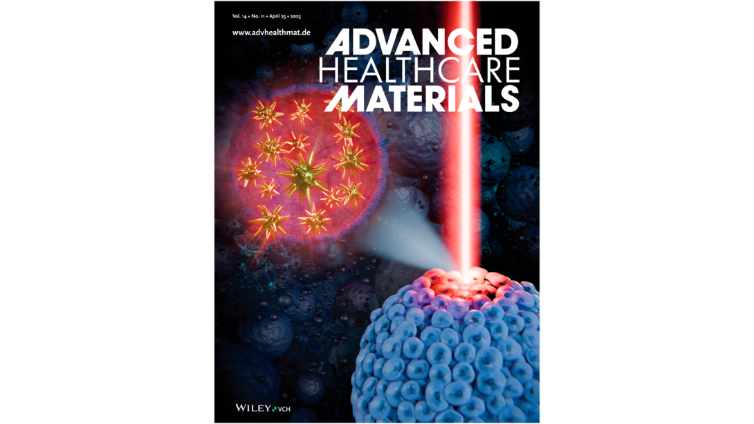 Multiscale Thermal Analysis of Gold Nanostars in 3D Tumor Spheroids: Integrating Cellular-Level Photothermal Effects and Nanothermometry via X-Ray Spectroscopy (Adv. Healthcare Mater. 11/2025)