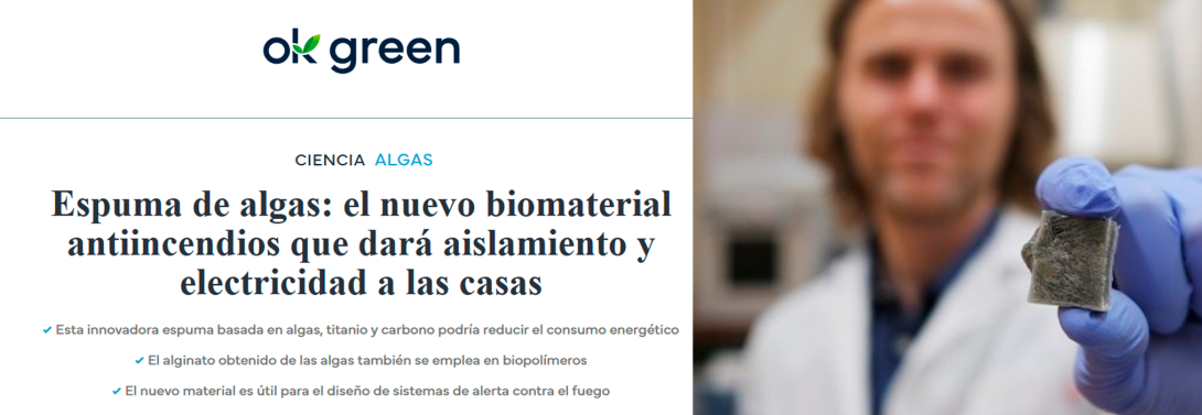 Espuma de algas: el nuevo biomaterial antiincendios que dará aislamiento y electricidad a las casas