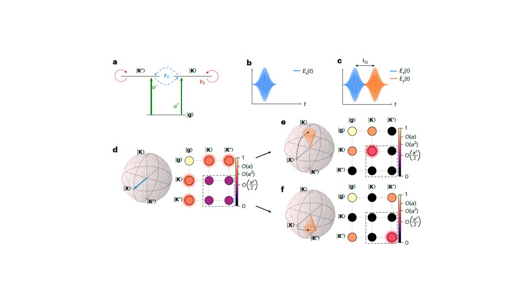 Encoding and manipulating ultrafast coherent valleytronic information with lightwaves