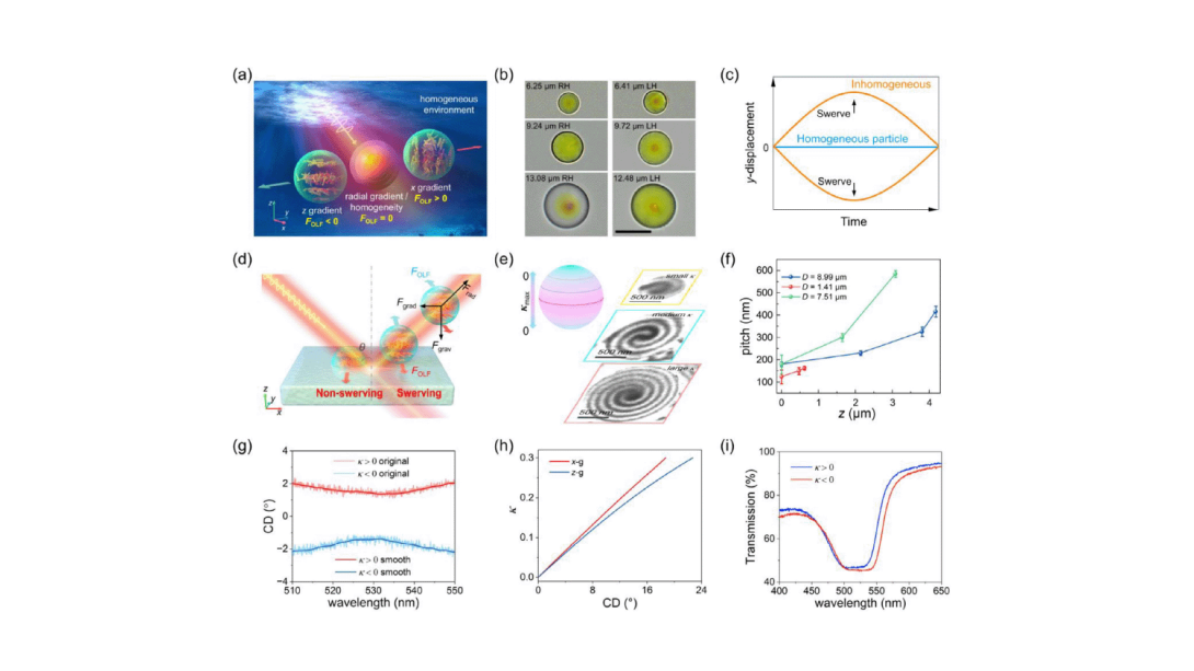 Self-Swerving Optical Force by Chiral Inhomogeneity