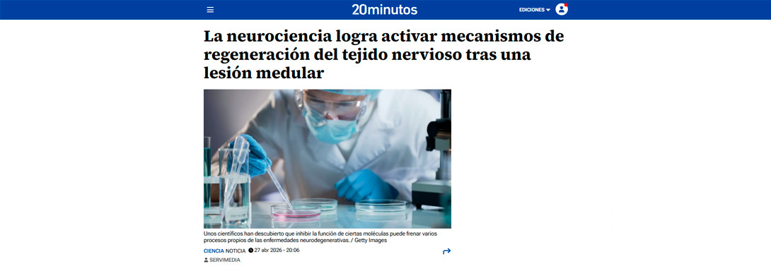 La neurociencia logra activar mecanismos de regeneración del tejido nervioso tras una lesión medular