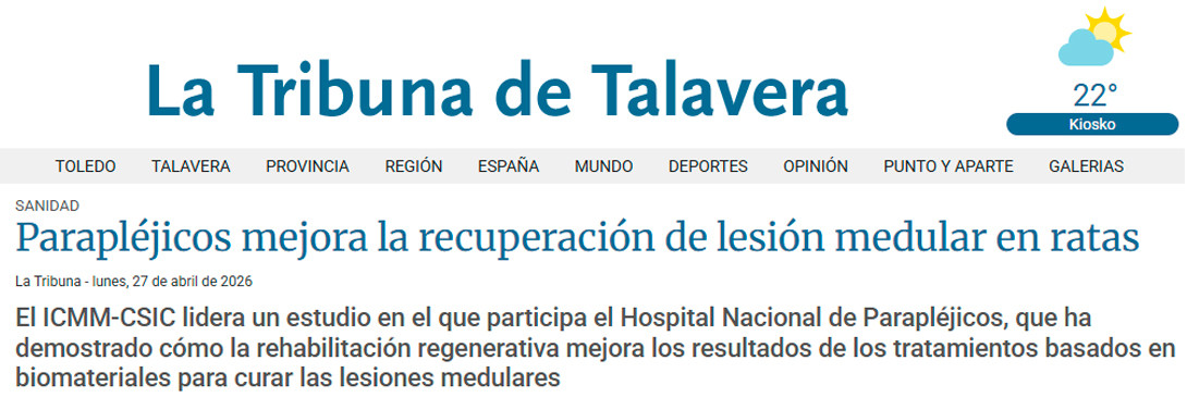 Parapléjicos mejora la recuperación de lesión medular en ratas