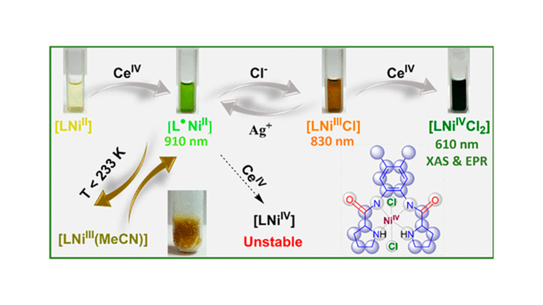 Recent investigations have demonstrated the appeal of using Ni(II) complexes with redox-active ligands in fields like catalysis, electrochemistry, or materials sciences. 