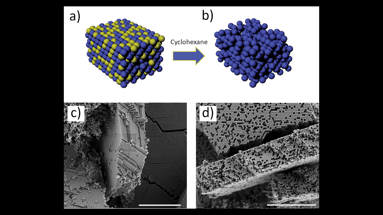 Fano-Like Resonance from Disorder Correlation in Vacancy-Doped Photonic Crystals