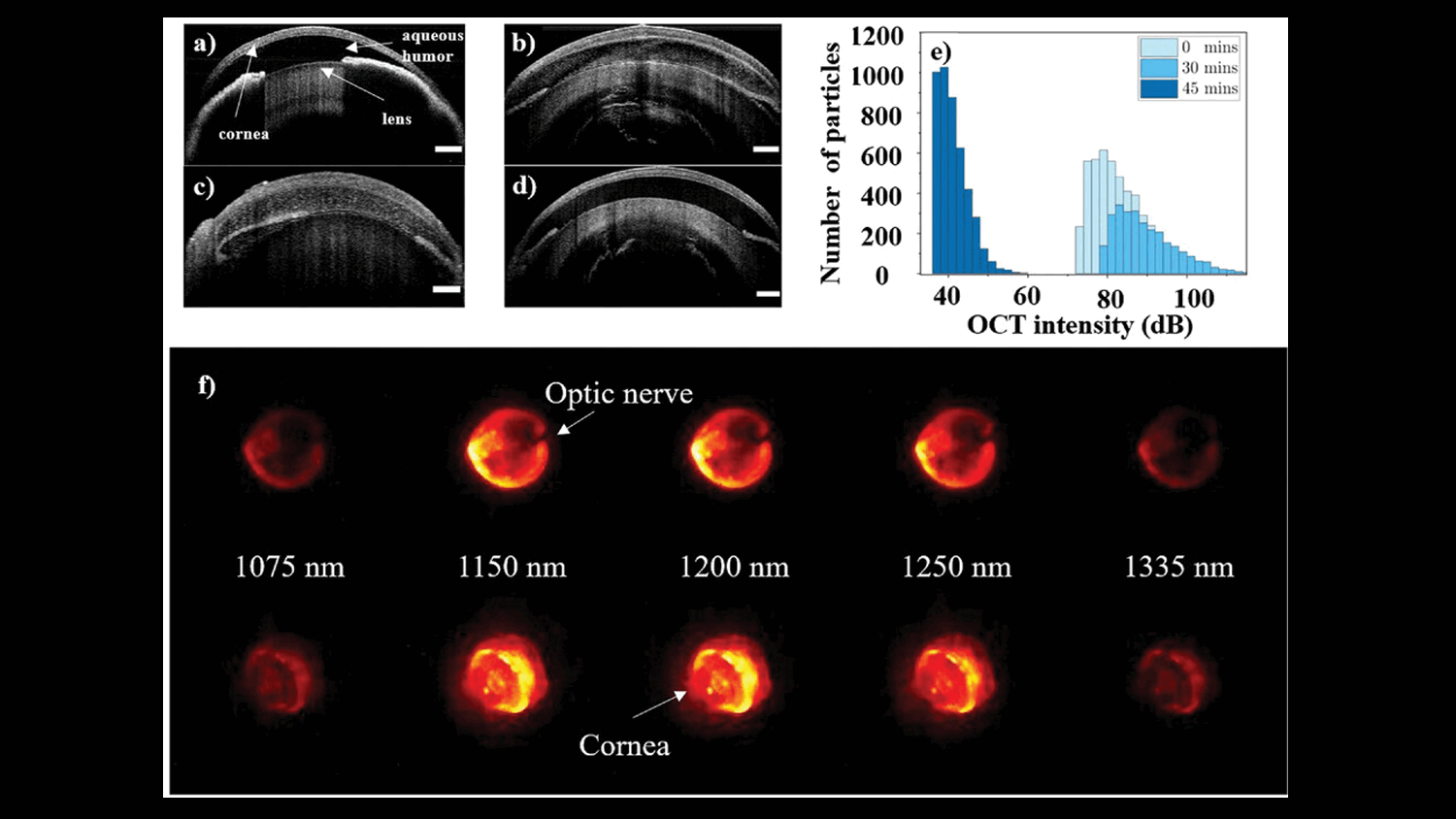 Ag2S Biocompatible Ensembles as Dual OCT Contrast Agents and NIR Ocular Imaging Probes