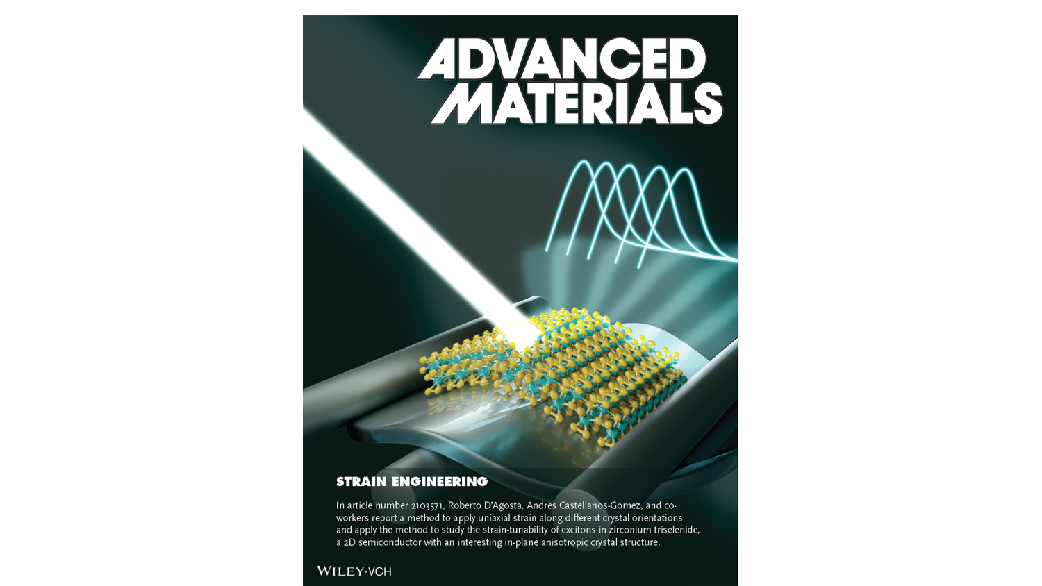 Strongly Anisotropic Strain-Tunability of Excitons in Exfoliated ZrSe3