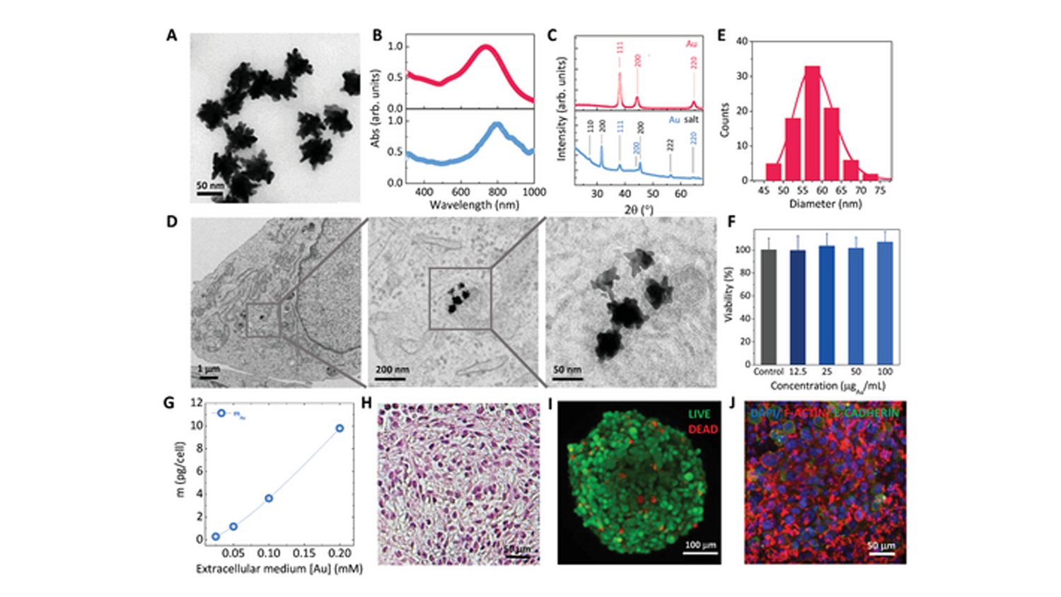 Multiscale Thermal Analysis of Gold Nanostars in 3D Tumor Spheroids: Integrating Cellular-Level Photothermal Effects and Nanothermometry via X-Ray Spectroscopy