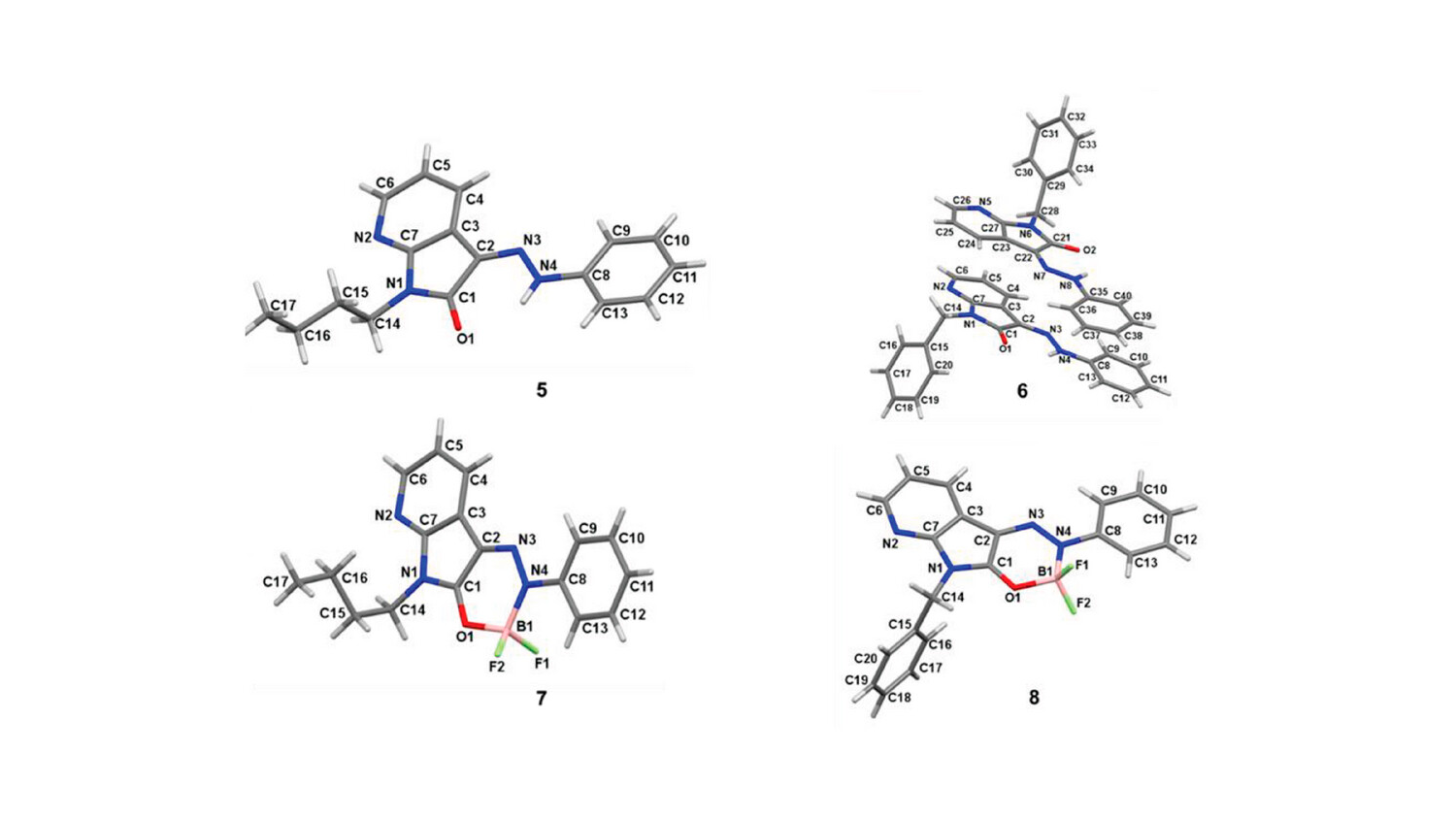 Asymmetric units and numbering scheme of compounds 5–8.
