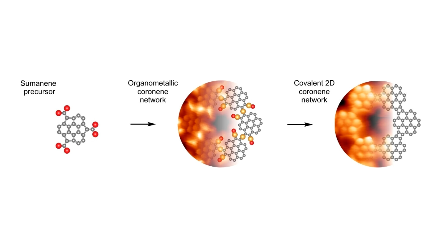 2D coronene-based networks have been synthesized by intramolecular rearrangements and subsequent coupling of sumanene precursors deposited on a hot Au(111) substrate. This approach paves the way for synthesizing organometallic and covalent low-dimensional nanoarchitectures by exploiting the intramolecular transformation of molecular precursors and their subsequent