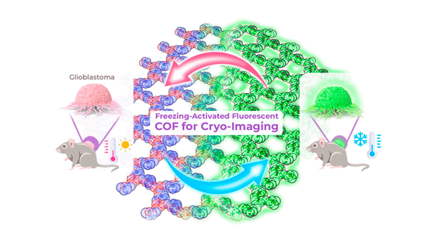 Cryosurgery represents a transformative approach in the treatment of resistant tumors, utilizing extreme cold to selectively ablate malignant tissue. 