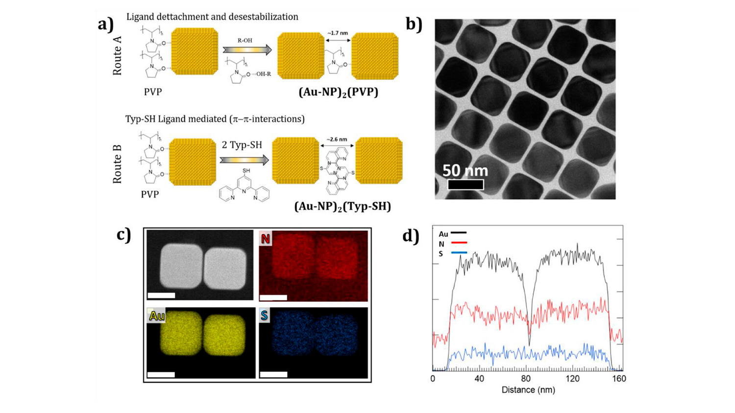 a) Schemes of the two routes used to obtain Au-NP dimers: Route A, by solvent destabilization, and Route B, by ligand exchange with a thiolated ligand, Typ-SH. b) Representative TEM image of the initial high-quality Au cubes used to prepare Au NP dimers. c) HAADF image of an (Au-NP)2(Typ-SH) dimer obtained by Route B, along with XEDS maps showing the presence of Au, N, and S from the Typ-SH molecules. Scale bars correspond to 40 nm. d) XEDS intensity profiles for Au, N, and S, across the (Au-NP)2(Typ-SH) di