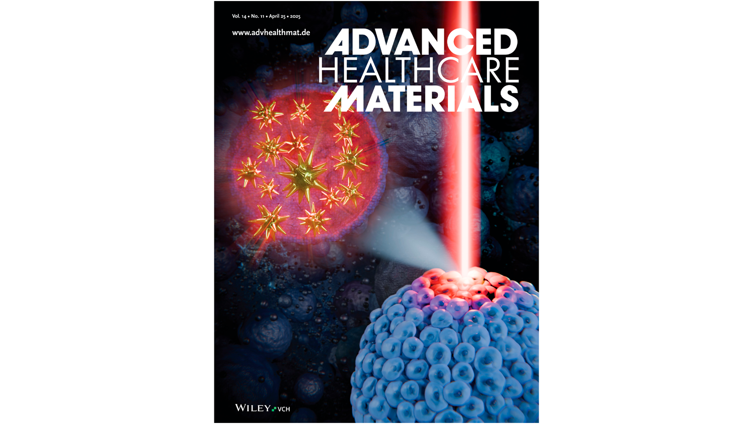 Multiscale Thermal Analysis of Gold Nanostars in 3D Tumor : Integrating Cellular-Level Photothermal Effects and Nanothermometry via X-Ray Spectroscopy