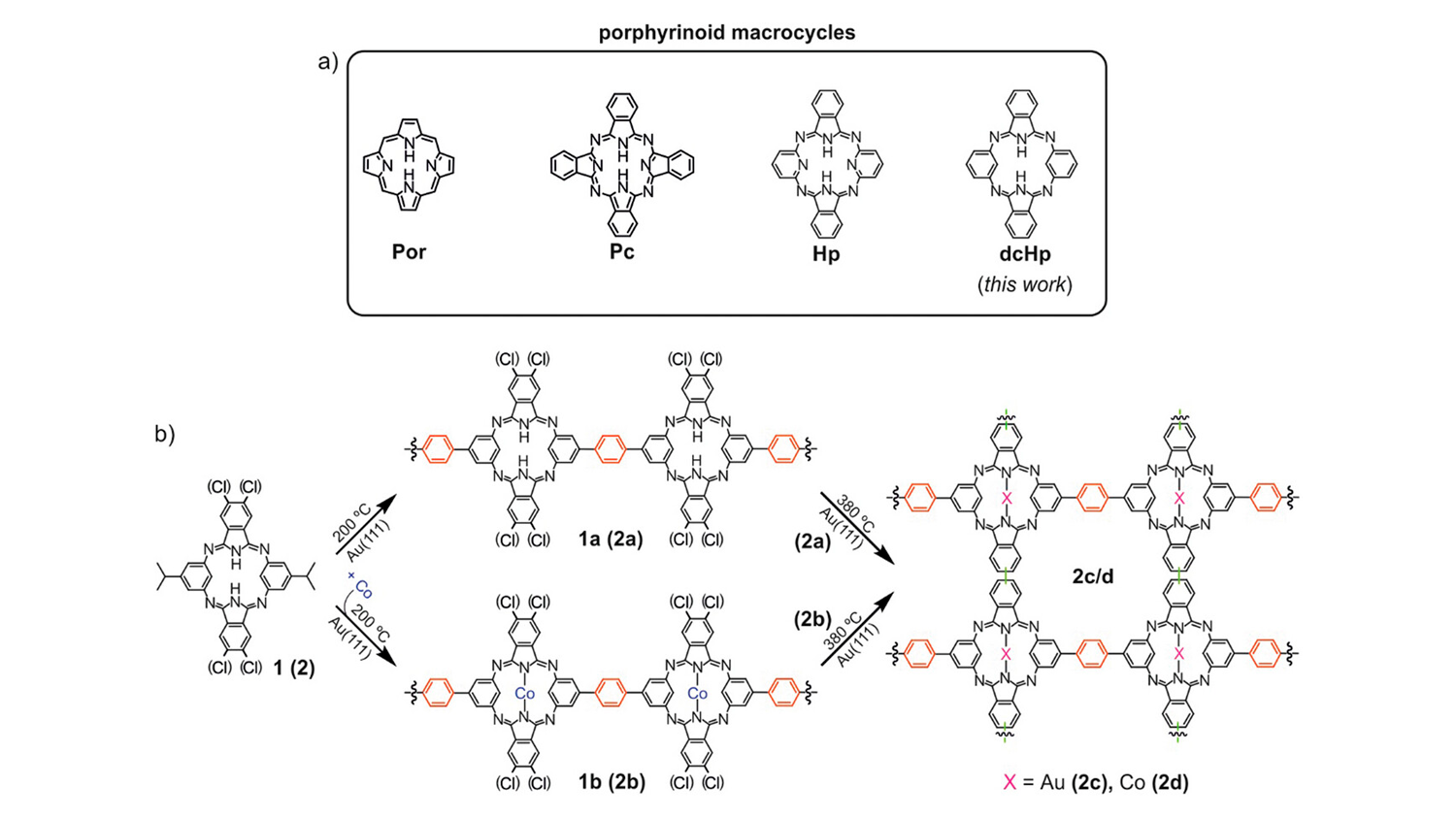 Chemical structure of relevant porphyrinoid macrocycles. Por: Porphyrin, Pc: Phthalocyanine, Hp: Hemiporphyrazine and dcHp: Dicarbahemiporphyrazine. b) On-surface reaction schemes toward the synthesis and metalation of low-dimensional dcHp polymers.