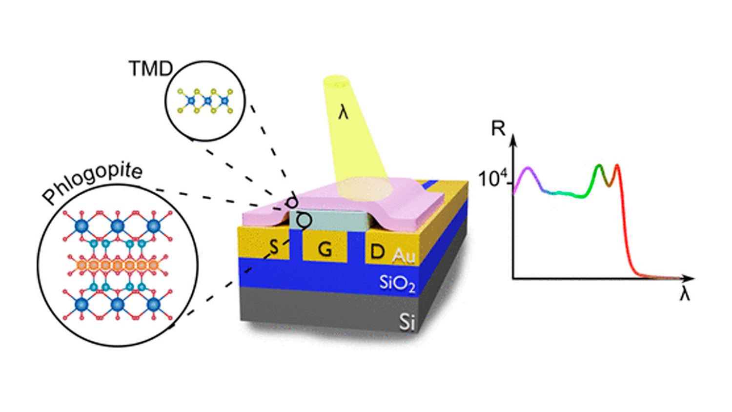 Natural Layered Phlogopite Dielectric for Ultrathin Two-Dimensional Optoelectronics